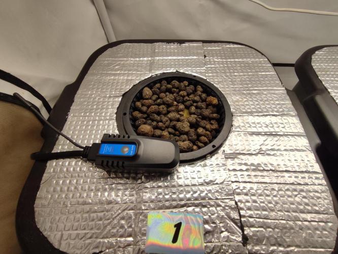 GMSDSP - New Money - RDWC. Week 0 - Tag 5