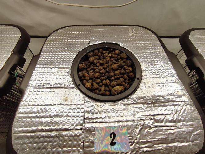 GMSDSP - New Money - RDWC. Week 0 - Tag 5