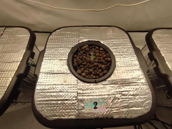 GMSDSP - New Money - RDWC. Week 0 - Tag 6