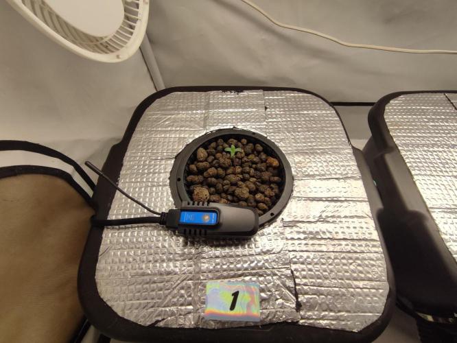 GMSDSP - New Money - RDWC. Week 1 - Tag 7