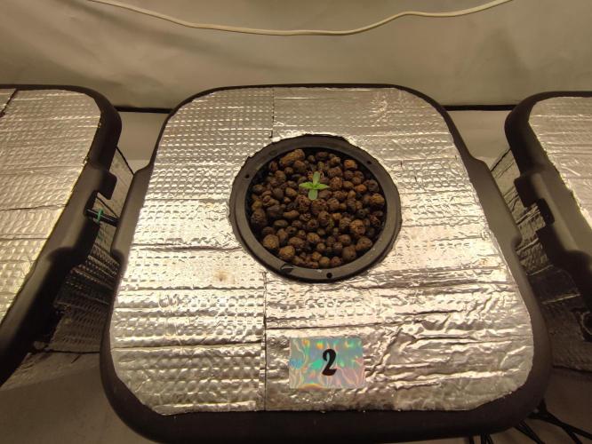 GMSDSP - New Money - RDWC. Week 1 - Tag 7