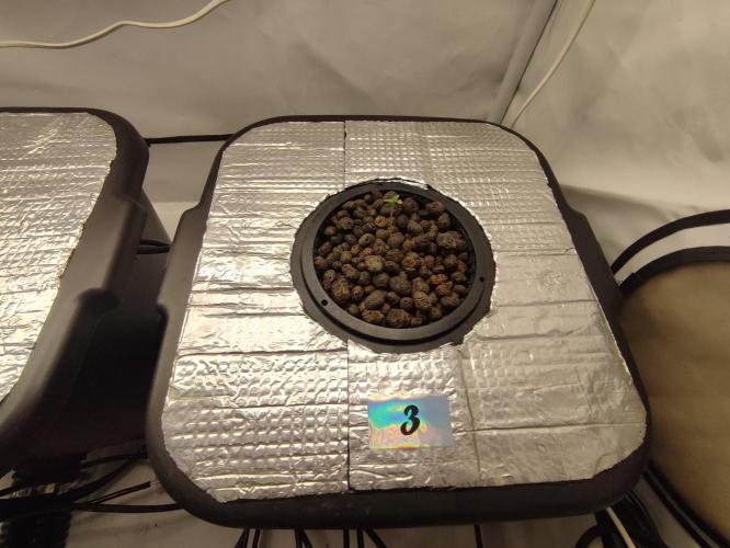 GMSDSP - New Money - RDWC. Week 1 - Tag 7