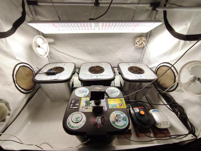 GMSDSP - New Money - RDWC. Week 1 - Tag 7