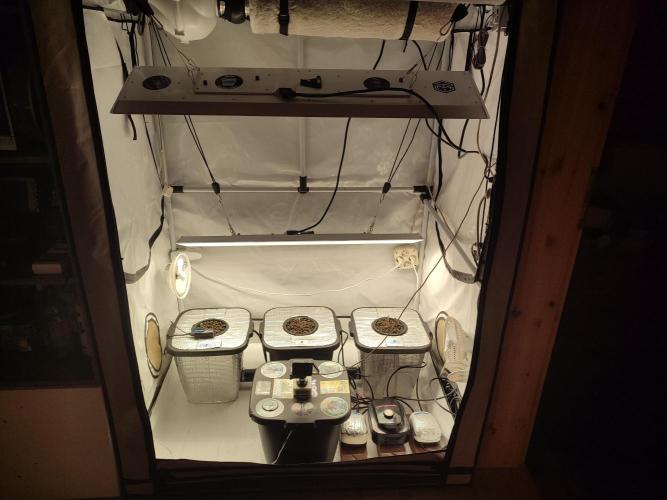 GMSDSP - New Money - RDWC. Week 1 - Tag 7