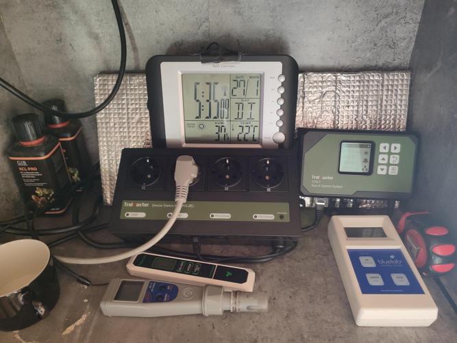 GMSDSP - New Money - RDWC. Week 1 - Tag 7