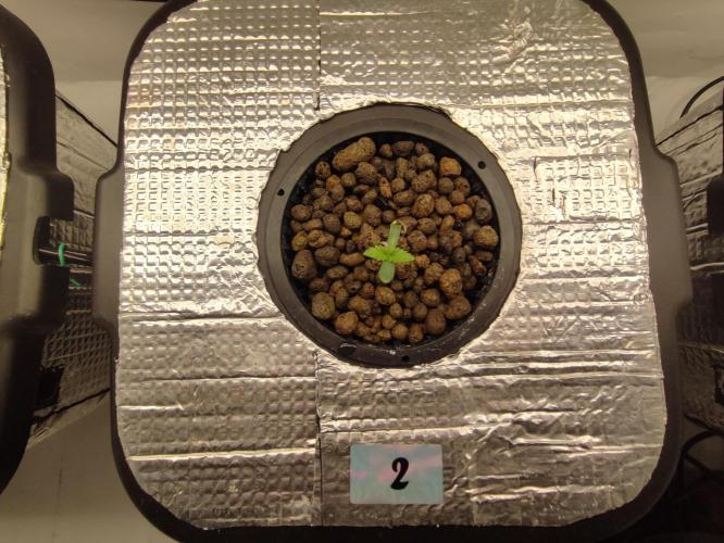 GMSDSP - New Money - RDWC. Week 1 - Tag 7