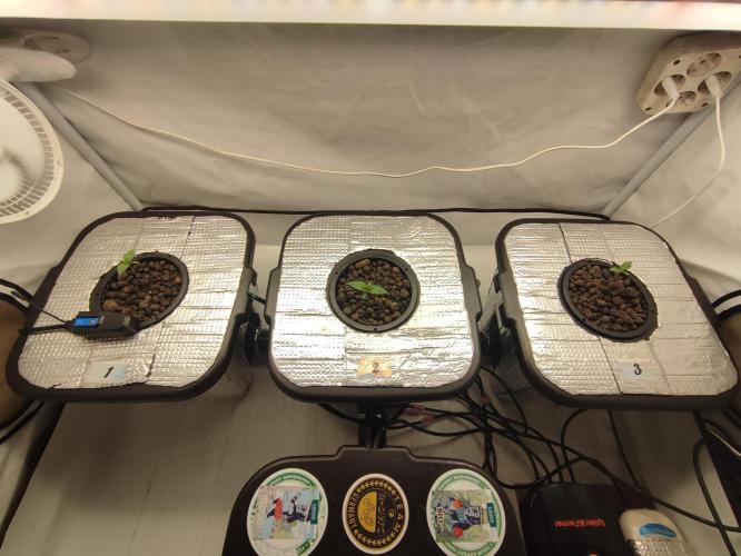 GSDS - New Money - RDWC. Week 1 - Tag 10