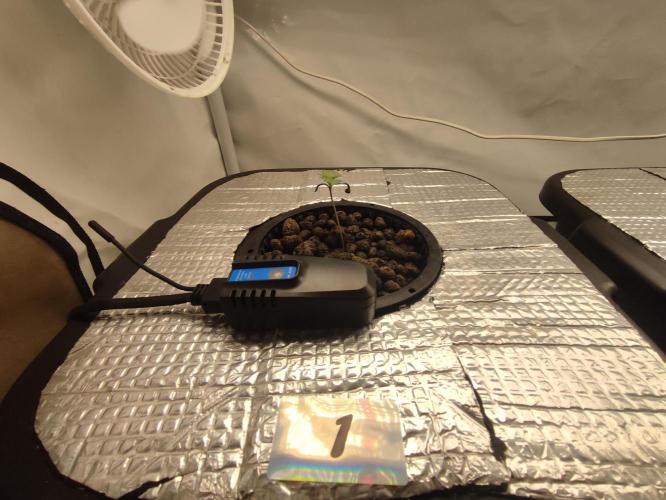 GSDS - New Money - RDWC. Week 1 - Tag 10