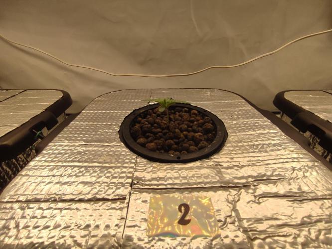 GSDS - New Money - RDWC. Week 1 - Tag 10