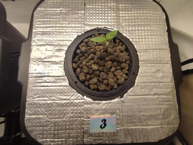 GSDS - New Money - RDWC. Week 1 - Tag 10