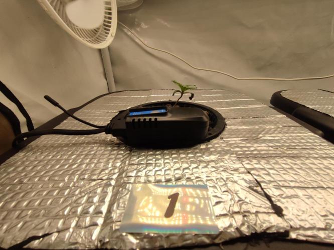 GSDS - New Money - RDWC. Week 1 - Tag 11