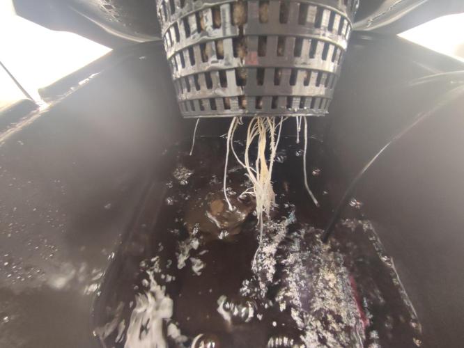 GSDS - New Money - RDWC. Week 2 - Tag 15