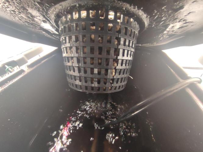 GSDS - New Money - RDWC. Week 2 - Tag 15