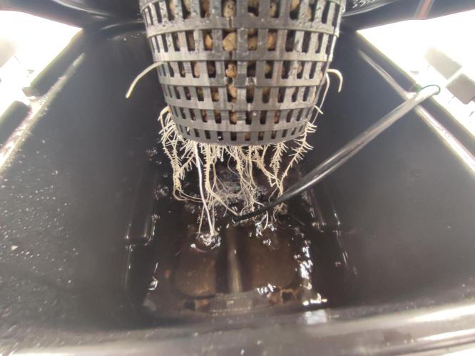 GSDS - New Money - RDWC. Week 2 - Tag 19