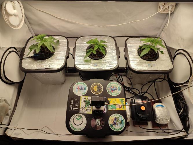 GSDS - New Money - RDWC. Week 2 - Tag 20