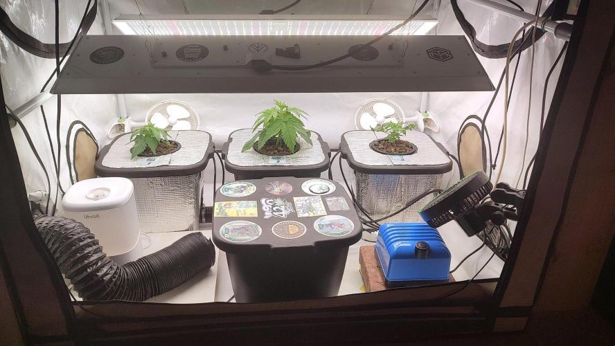 RDWC - Super Boof Auto. Week 3