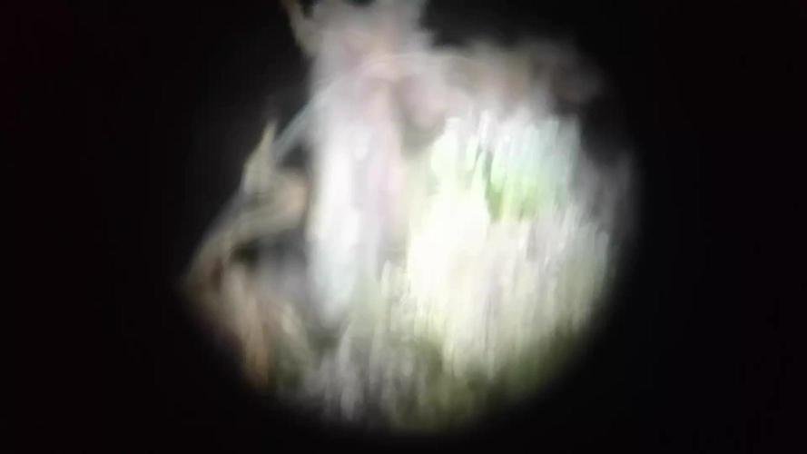Sour Jealousy Auto I