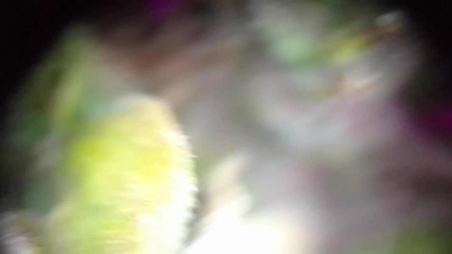 White Widow XXL Auto I