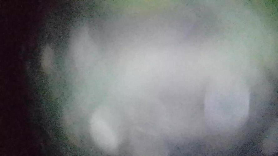 Royal Domina Feminized