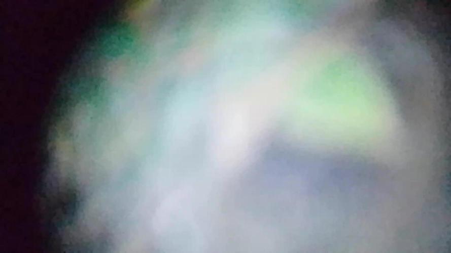 Royal Domina Feminized