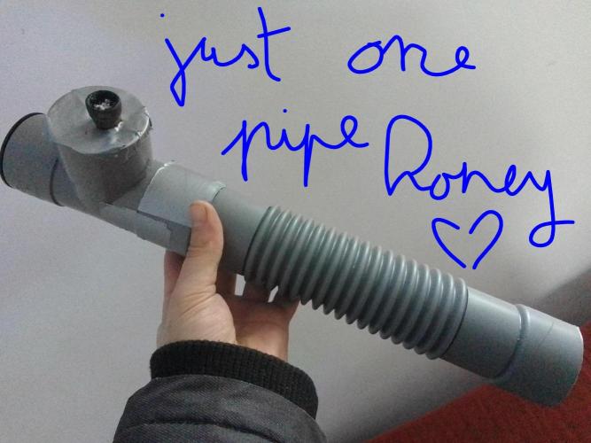 Biscotti Feminized. Week 17