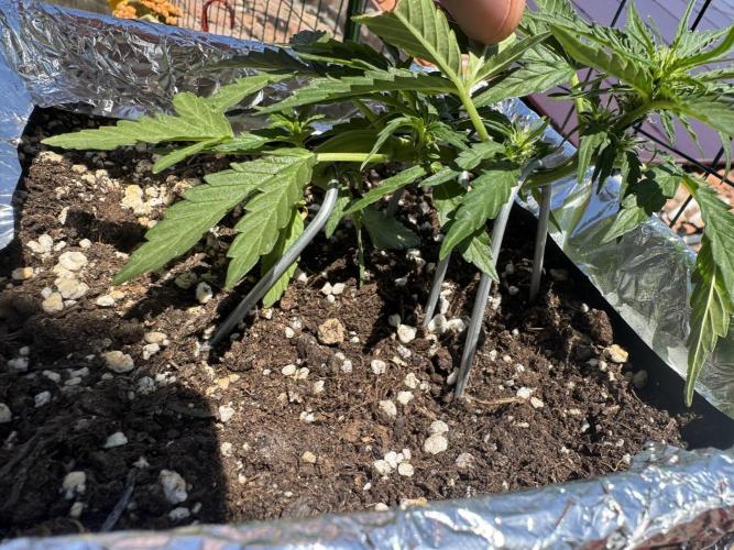 Ven. 12/06/25 (MilkywayF1). Week 3