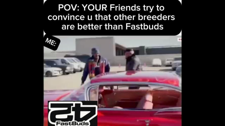 Fastberry Auto