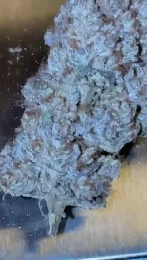 Strawberry Guava Bloom Log