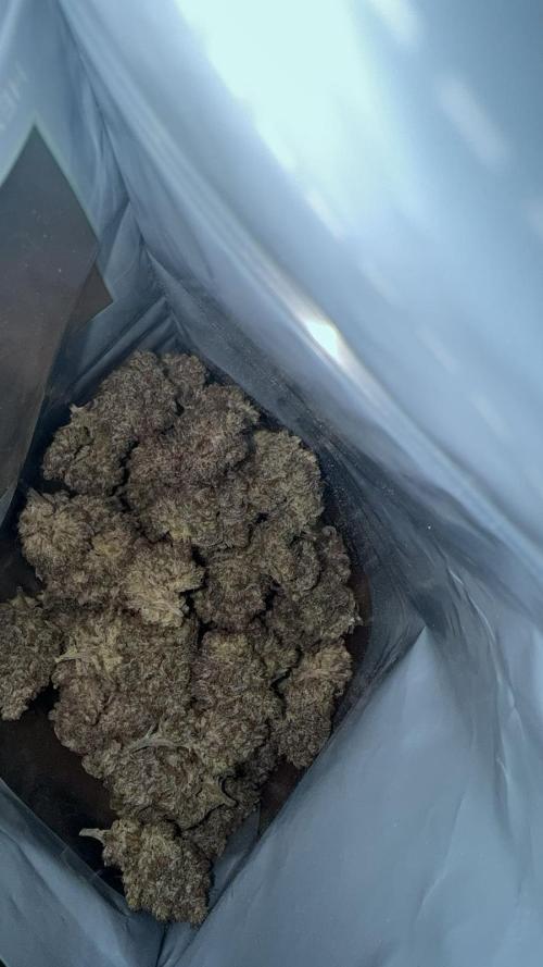 Strawberry Guava Bloom Log. Week 9