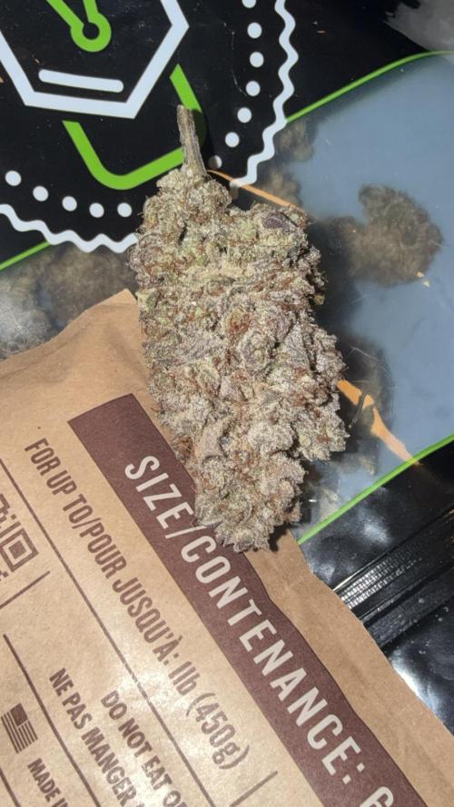 Strawberry Guava Bloom Log. Week 9