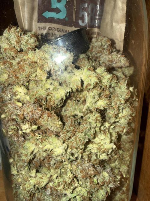 Bloom Log for 19L DWC. Week 10