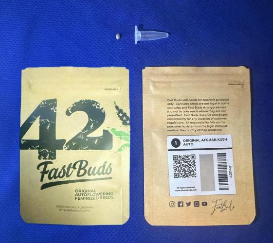 Original Afghan Kush. Week 0