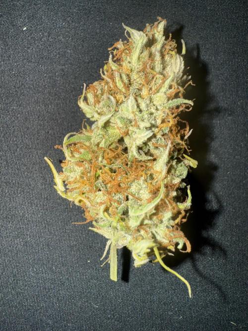 Lemon Meringue. Week 13