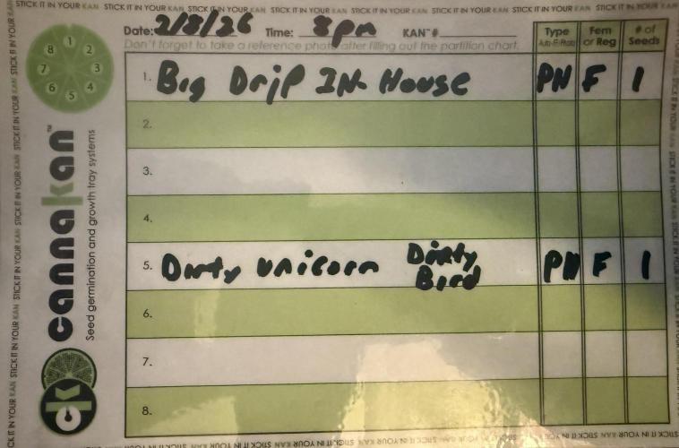 Dirty Unicorn. Week 0