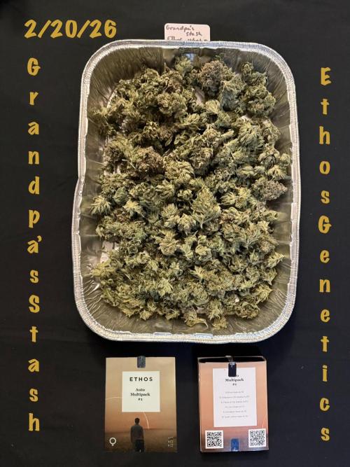 Grandpa’s Stash. Week 13 - Trim day