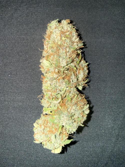 Original Big Bud. Week 15