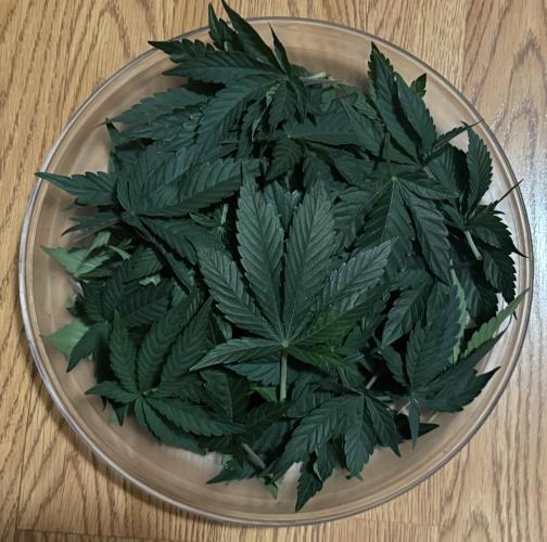Dirty Unicorn. Week 7 - Day 43