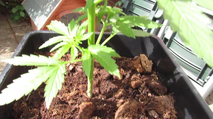 ❤️‍🔥 Its getting Hot in Herre! ❤️‍🔥 (HFOGA-WSE)