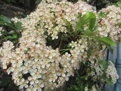 Comment by Hologram photo #1