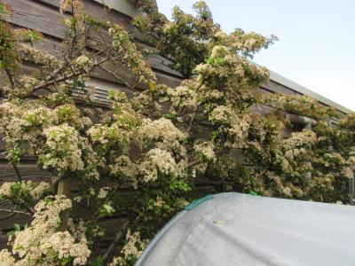 Comment by Hologram photo #2