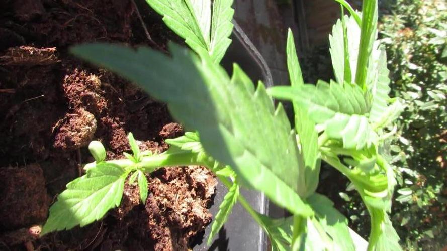 ❤️‍🔥 Its getting Hot in Herre! ❤️‍🔥 (HFOGA-WSE)