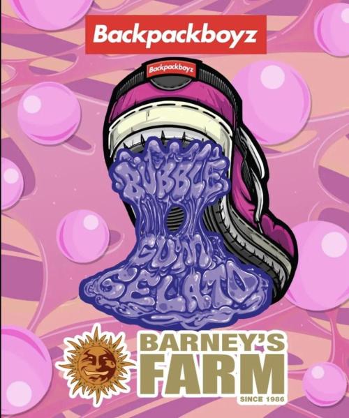 Bubblegum Gelato. Week 0