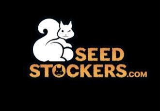 Apollo Black Cherry. Week 0