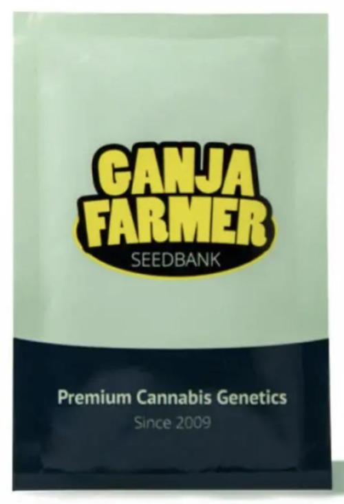 Granddaddy Purple. Week 0