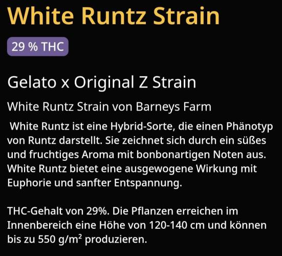 White Runtz. Week 0
