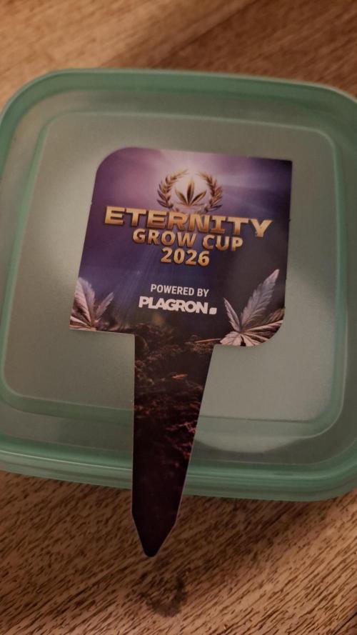Eternity Grow Cup 26'. Week 0