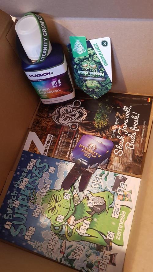 Eternity Grow Cup 26'. Week 0