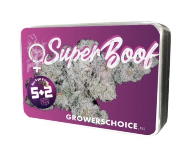 Super Boof. Week 0