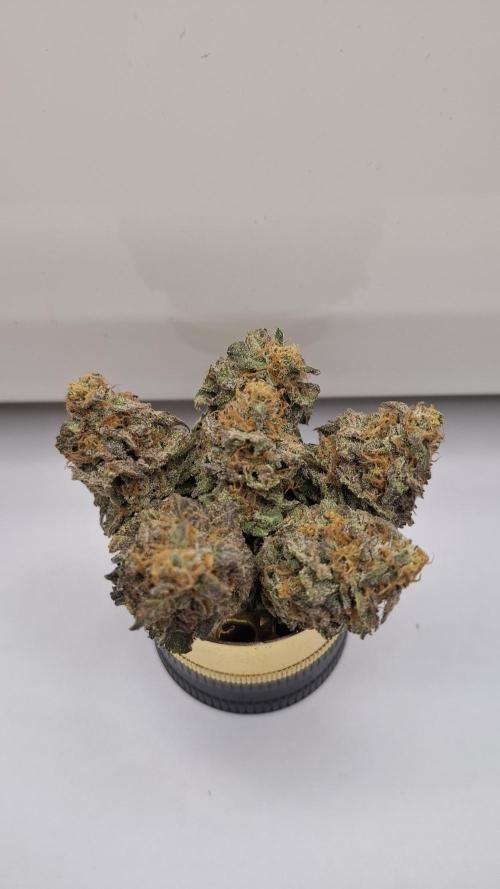 White Noise. Week 17