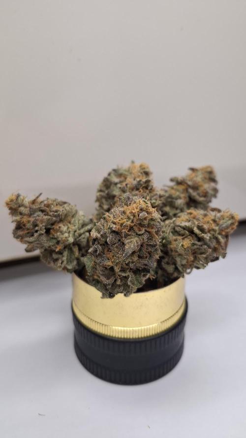 White Noise. Week 17